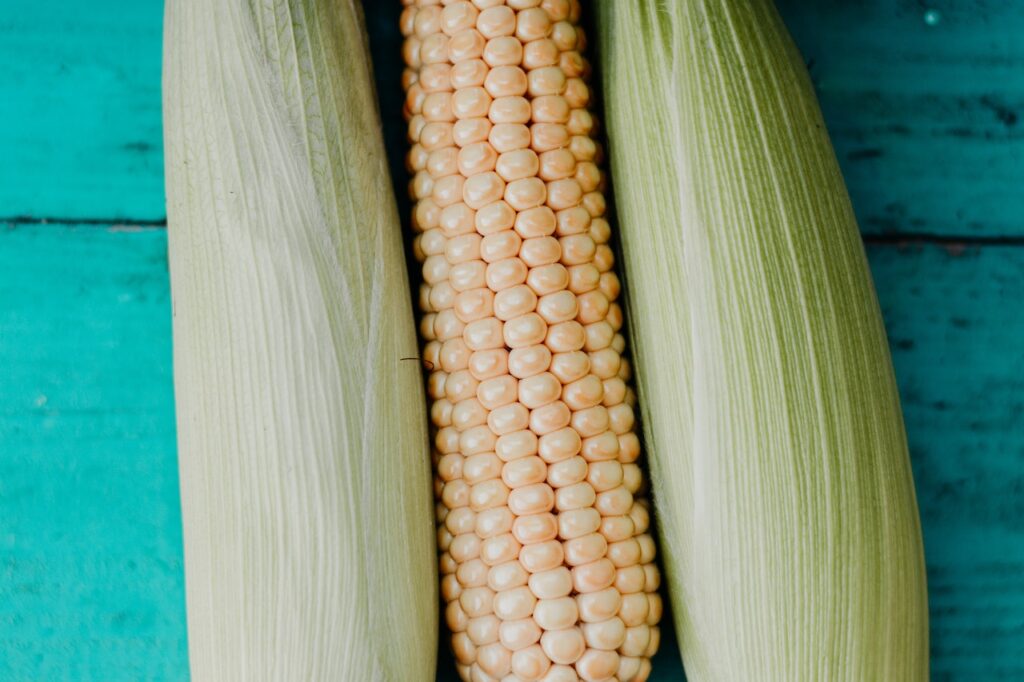 Is corn good for a diet The role of fiber 